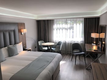 Deluxe Room, 1 King Bed, Non Smoking (Converts to 2 Twin Beds)