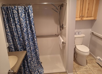 Studio, 1 King Bed with Sofa bed, Kitchenette, Bay View