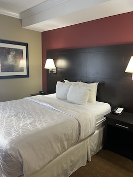 Standard Room, 1 Queen Bed, Non Smoking, Microwave