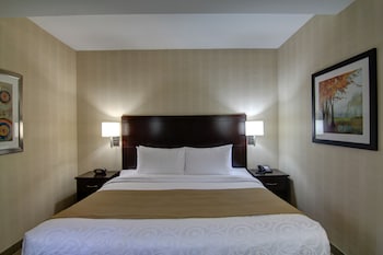 Suite, 1 King Bed, Non Smoking, Kitchenette