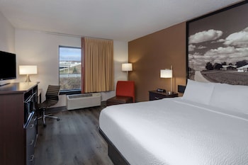Standard Room, 1 King Bed with Sofa bed