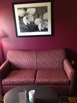 Luxury Suite, 1 King Bed, Non Smoking (One-Bedroom Suite)