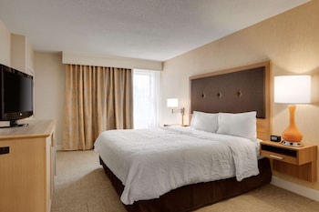 Suite, 1 King Bed, Non Smoking (Shower Only, Wet Bar)