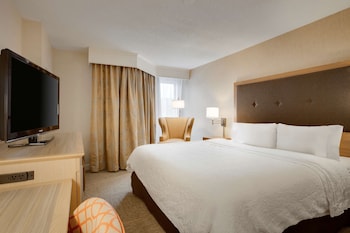Room, 1 King Bed, Non Smoking, Refrigerator (Shower Only)