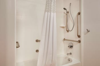 Room, 1 King Bed, Non Smoking, Refrigerator (Shower Only)