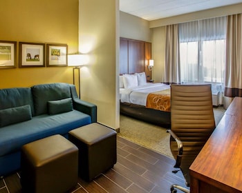 Room, 1 King Bed with Sofa bed, Accessible, Non Smoking