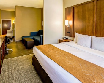 Suite, 1 King Bed with Sofa bed, Accessible, Non Smoking