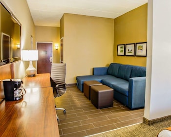 Suite, 1 King Bed with Sofa bed, Accessible, Non Smoking