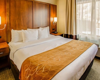 Suite, 1 King Bed, Non Smoking