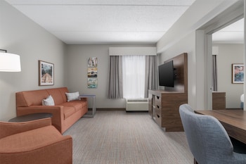 Basic Studio Suite, 1 King Bed, Non Smoking
