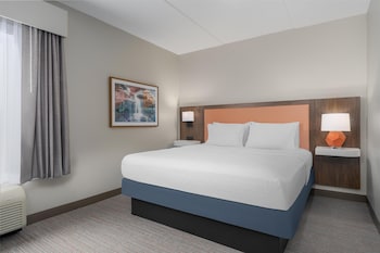 Basic Studio Suite, 1 King Bed, Non Smoking