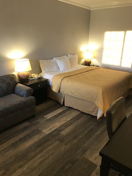 Room, 1 King Bed with Sofa bed, Non Smoking