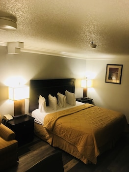 Room, 1 King Bed with Sofa bed, Non Smoking