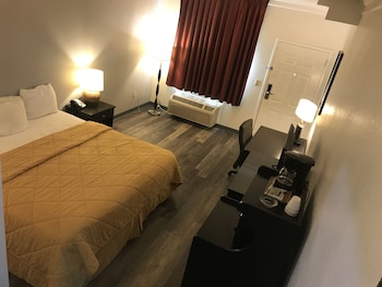 Room, 1 King Bed with Sofa bed, Non Smoking
