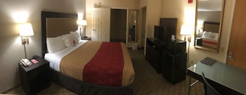 Standard Room, 1 King Bed, Non Smoking