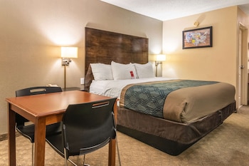 Standard Room, 1 King Bed, Non Smoking