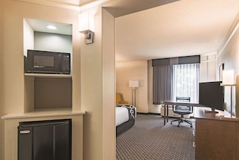 Room, 1 King Bed, Non Smoking (Various Views)