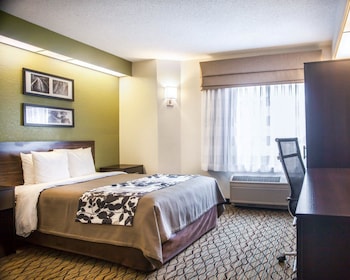 Standard Room, 1 Queen Bed, Non Smoking