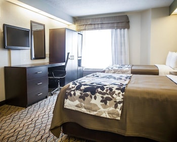 Standard Double Room, 2 Double Beds, Non Smoking