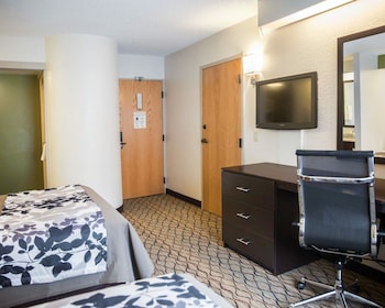 Standard Double Room, 2 Double Beds, Non Smoking