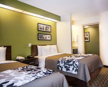 Standard Double Room, 2 Double Beds, Non Smoking