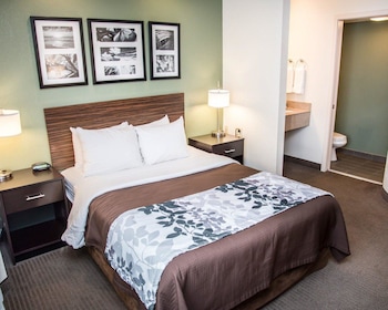 Room, 1 Queen Bed, Accessible, Non Smoking