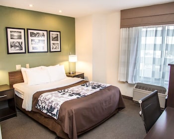 Room, 1 Queen Bed, Accessible, Non Smoking