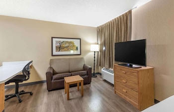Deluxe Studio, 1 Queen Bed with Sofa bed, Non Smoking