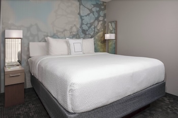 Room, 1 King Bed with Sofa bed
