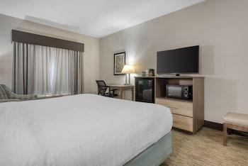 Standard Room, 1 King Bed, Accessible, Non Smoking