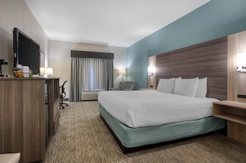 Standard Room, 1 King Bed, Non Smoking, Refrigerator & Microwave