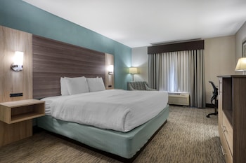Standard Room, 1 King Bed, Accessible, Bathtub