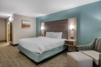 Standard Room, 1 King Bed, Accessible, Bathtub
