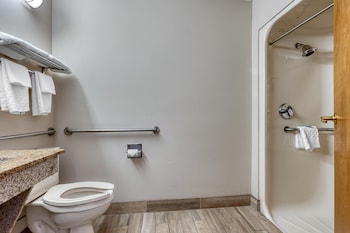 Standard Room, 1 King Bed, Accessible, Non Smoking