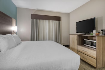 Suite, 1 King Bed, Non Smoking, Microwave
