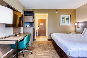 Standard Room, 1 King Bed, Non Smoking