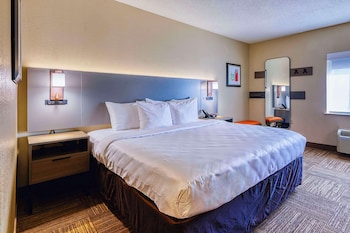 Standard Room, 1 King Bed, Non Smoking