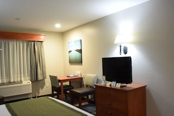 Standard Room, 1 King Bed, Non Smoking, Refrigerator & Microwave
