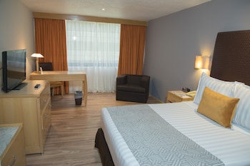 Junior Suite, 1 Queen Bed