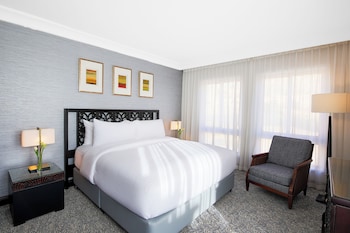 Suite, 1 King Bed