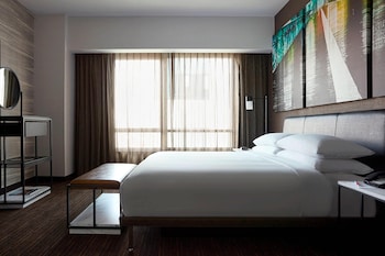 Room, 1 King Bed