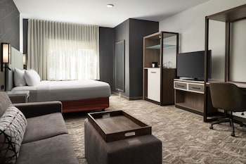 Suite, 1 King Bed with Sofa bed, Hearing Accessible (Roll-in Shower)