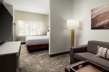 Suite, 1 King Bed with Sofa bed, Hearing Accessible (Roll-in Shower)