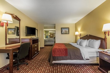 Standard Room, 1 King Bed, Non Smoking