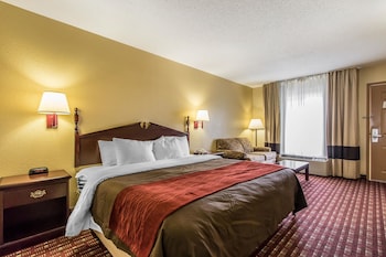 Standard Room, 1 King Bed, Non Smoking