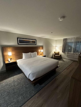 Suite, 1 King Bed with Sofa bed, Non Smoking (Efficiency, Upgrade)