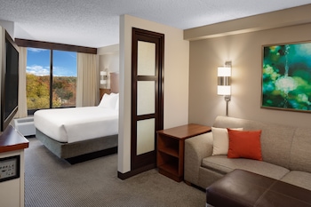 Room, 1 King Bed (High floor)