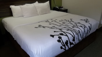 Room, 1 King Bed, Accessible, Ground Floor