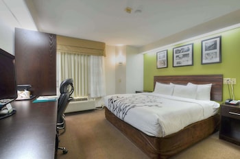 Standard Room, 1 King Bed, Non Smoking