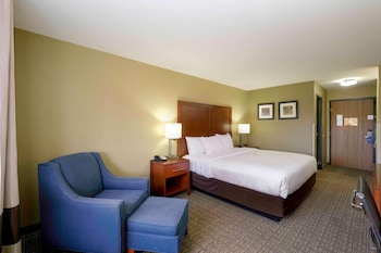 Room, 1 King Bed, Accessible, Non Smoking